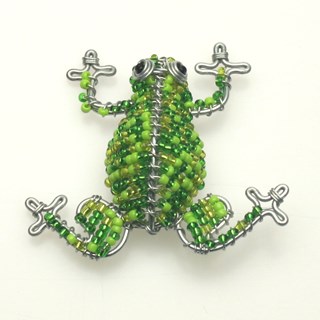 Broche kikker