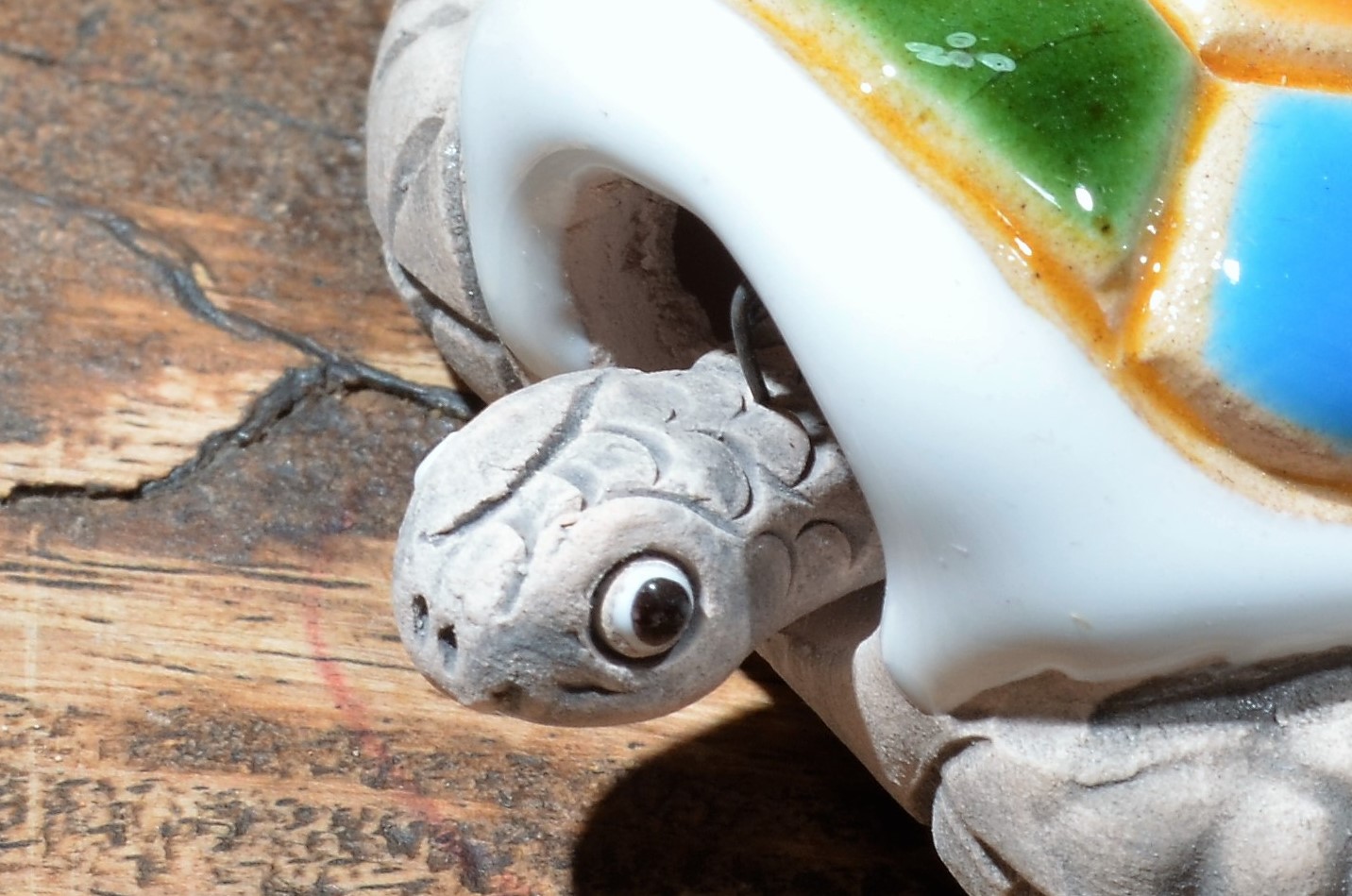 New arrivals: Bubble head schildpad uit Peru